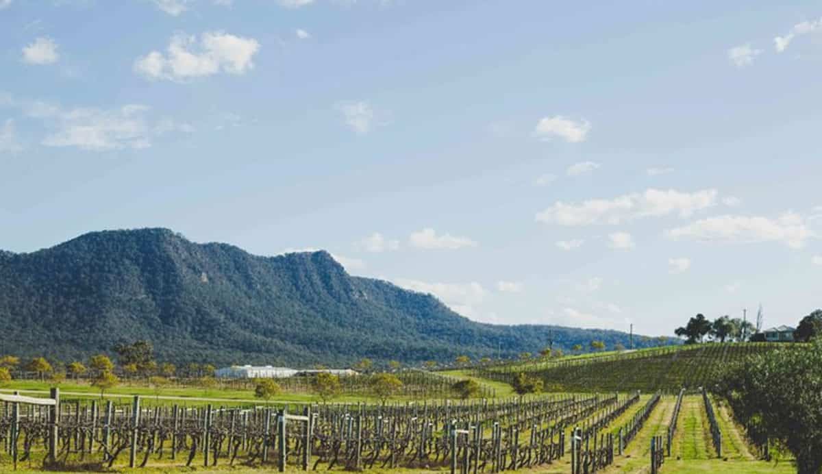 Hunter Valley Whole Hearted Medicine